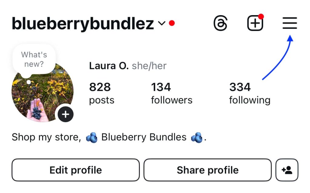 Blueberrybundlez screenshot with arrow pointing to menu (instagram)